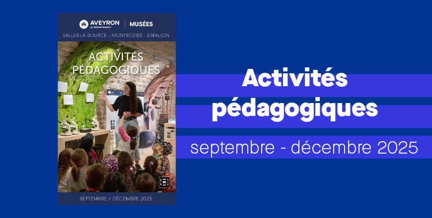 Les activités sont en ligne !